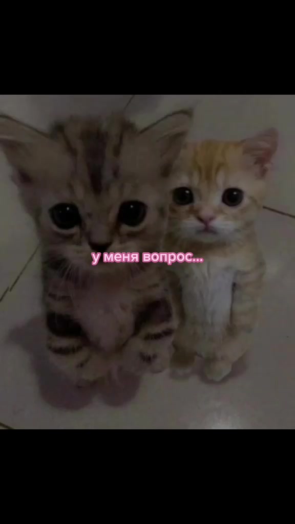 @комертат