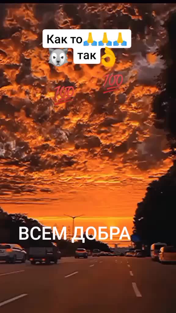 @ОДИНОКИЙ 🐺ВОЛК🙏🙏🙏🕺