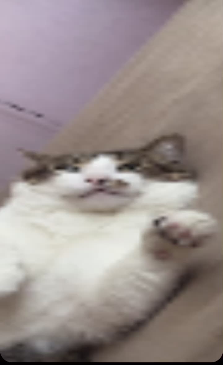 @Promonker