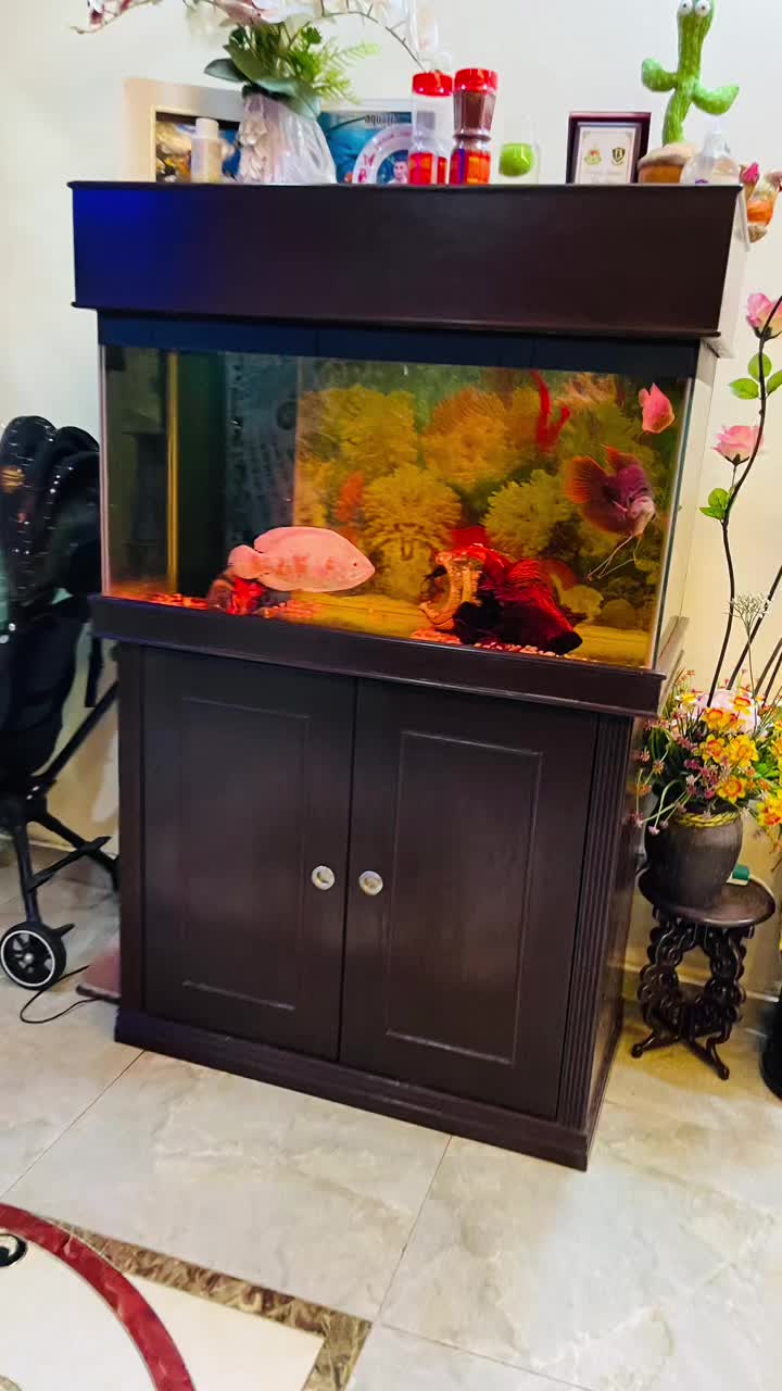 @RS AROWANA EMPIRE