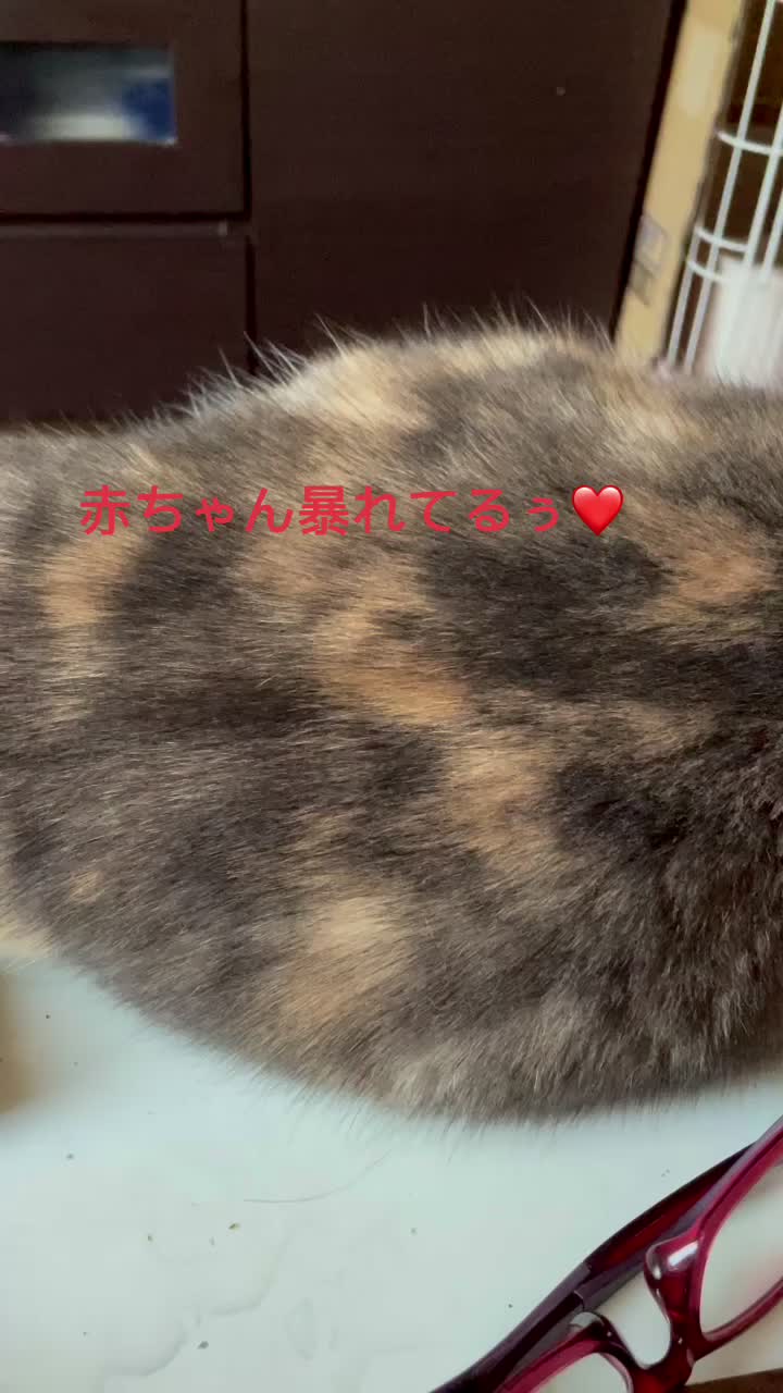 @おまめ