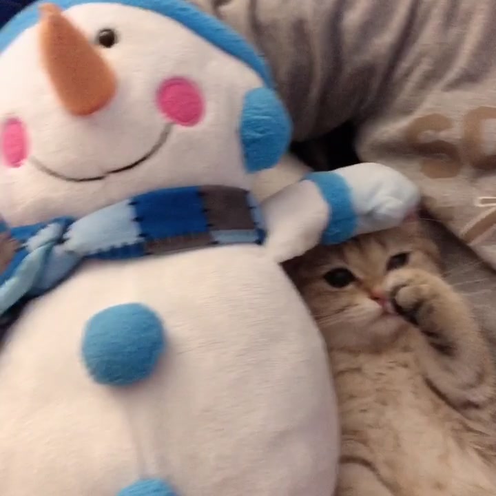@Momo & Mimi