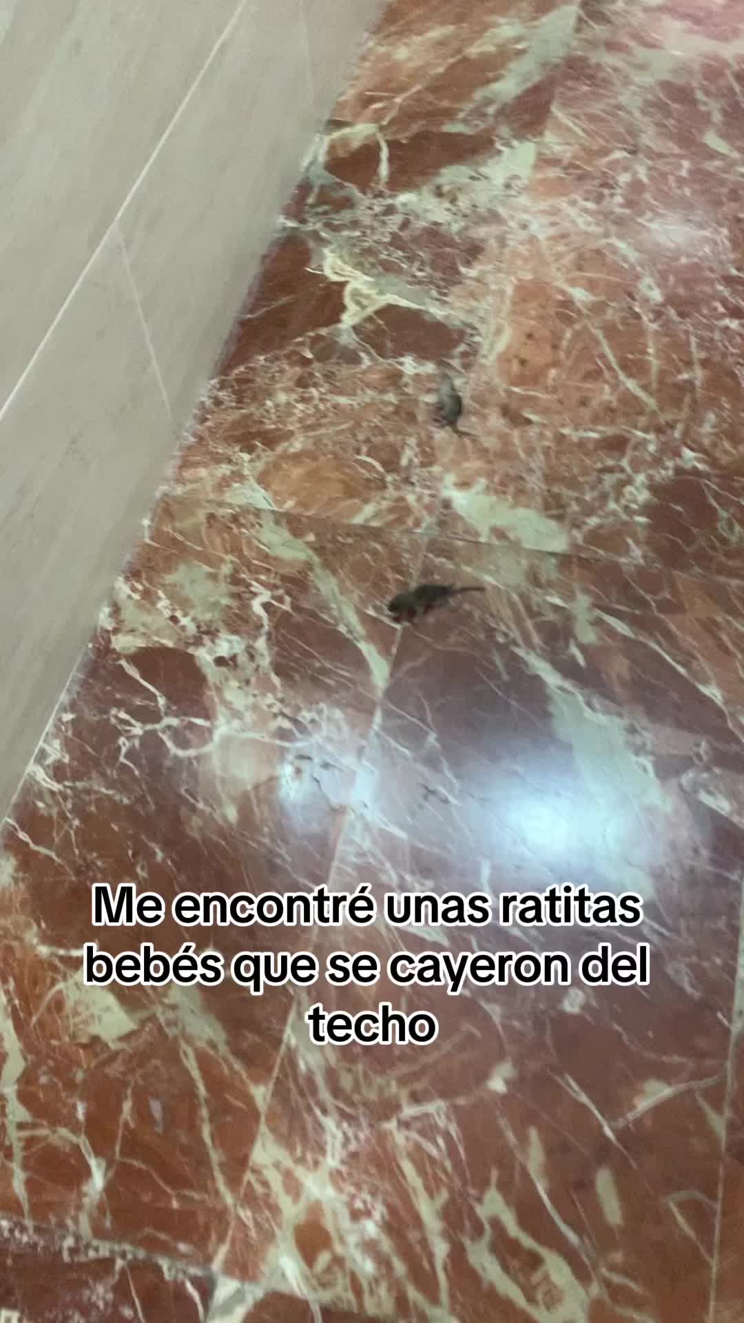@susiigonzalezz
