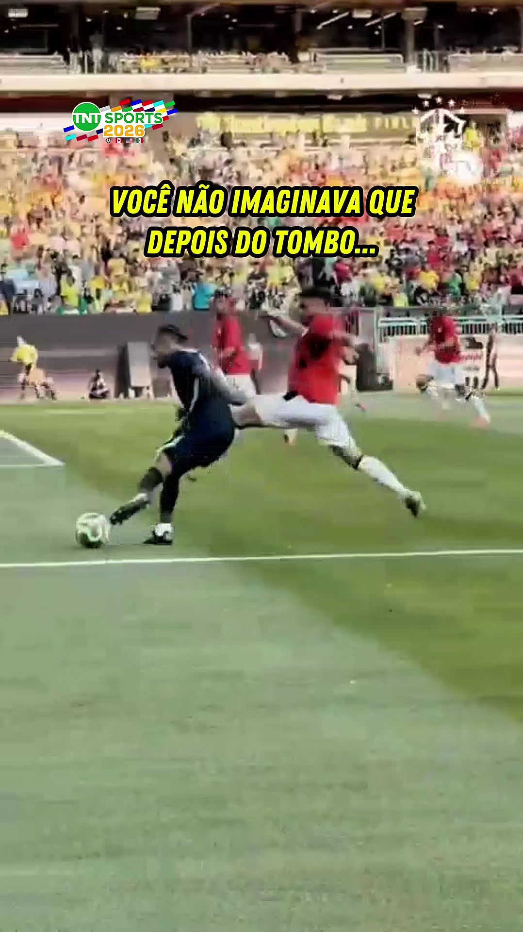 @TNT Sports Brasil