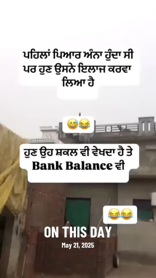 @vehlijanta761