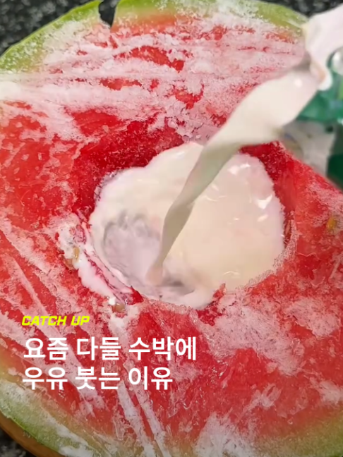 @이슈&트렌드 | 케찹