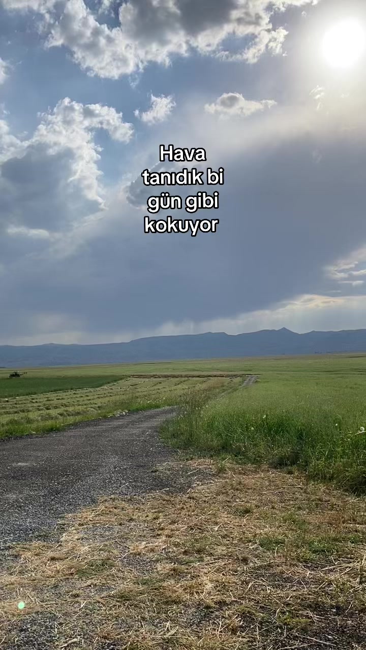 @Buseee