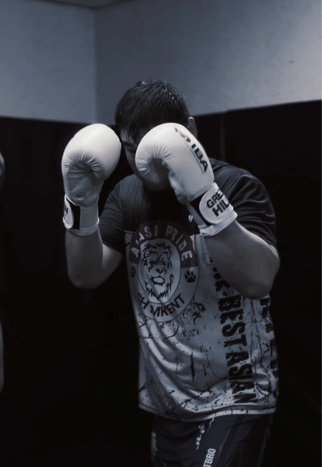 @ALISH MMA