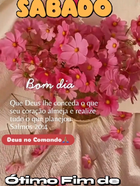 @Niube Resende💃👠📕🇧🇷🌻