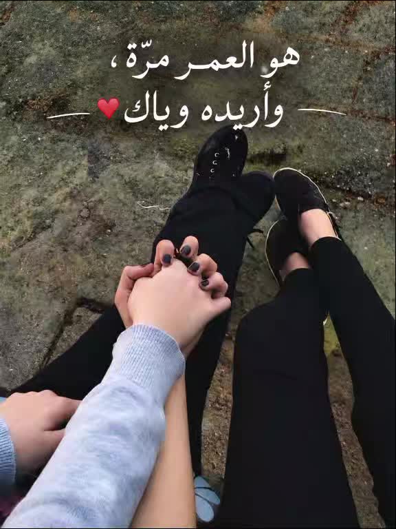 @انس الشامي