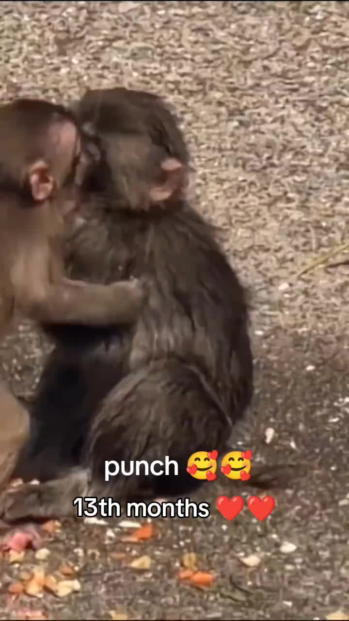 @zikstin16