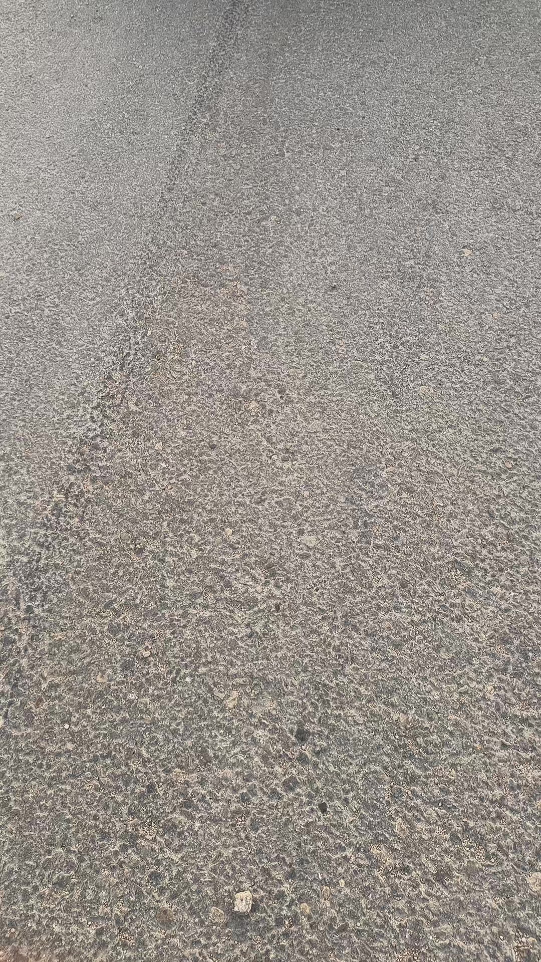 @الفـدرالي 🧣