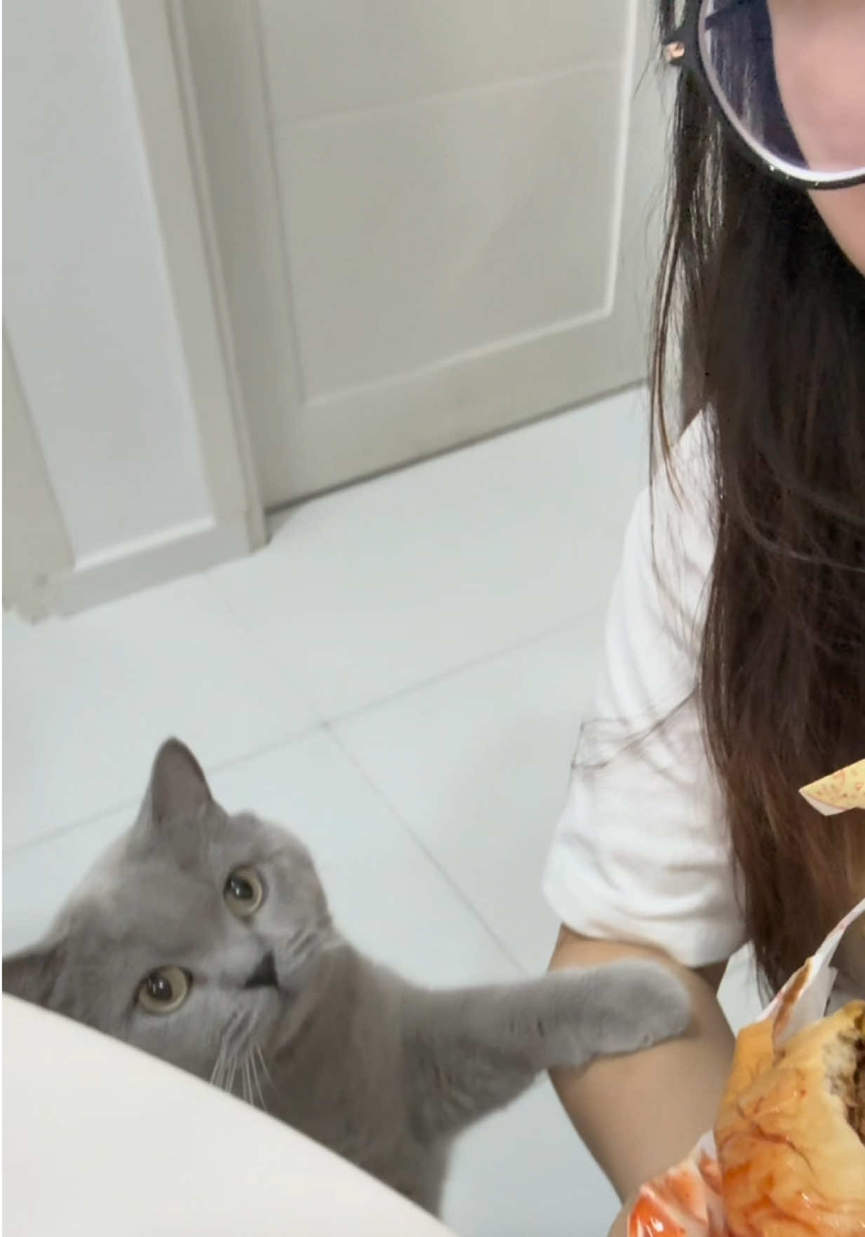 @xiaojieee