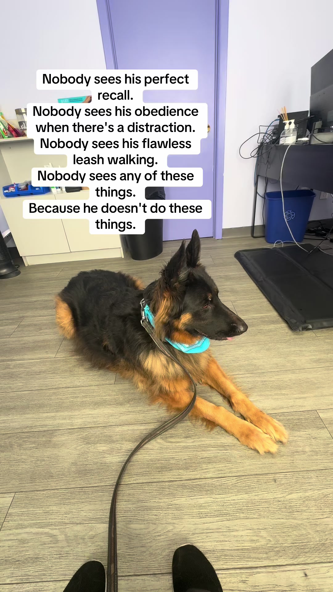 @ksdoggos