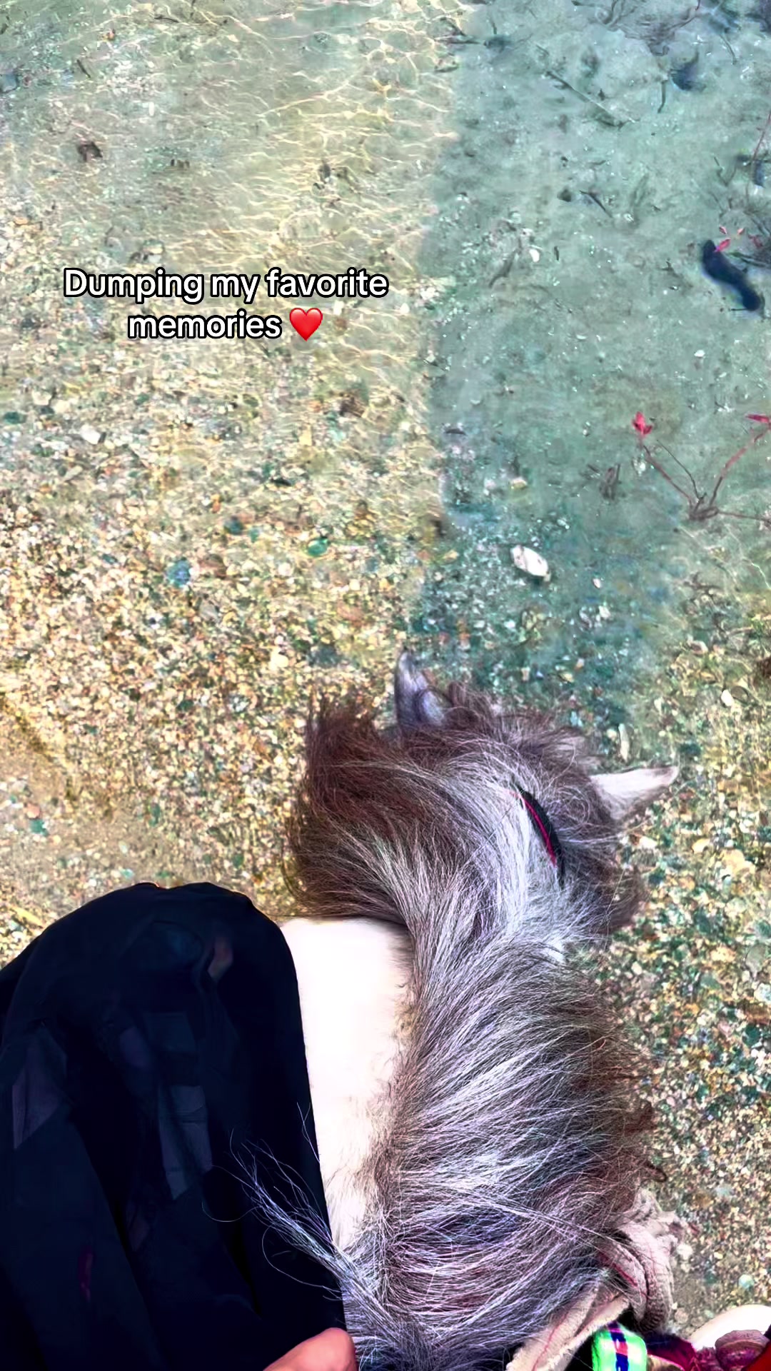 @🧸🧿