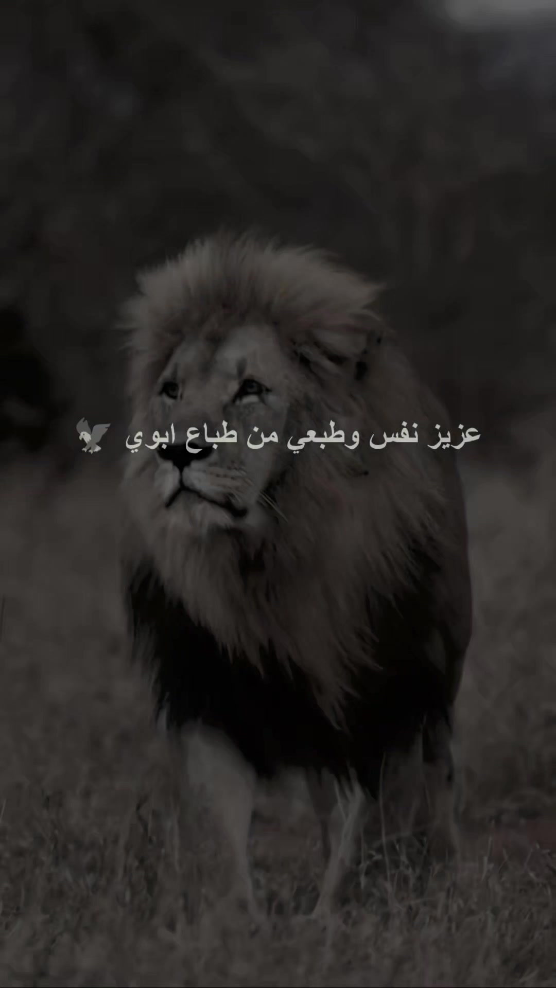 @⚜️👑الكاسح السوري👑⚜️
