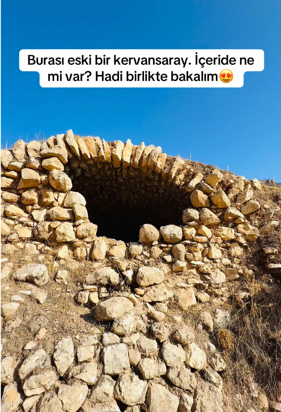 @Muzaffer Aslan