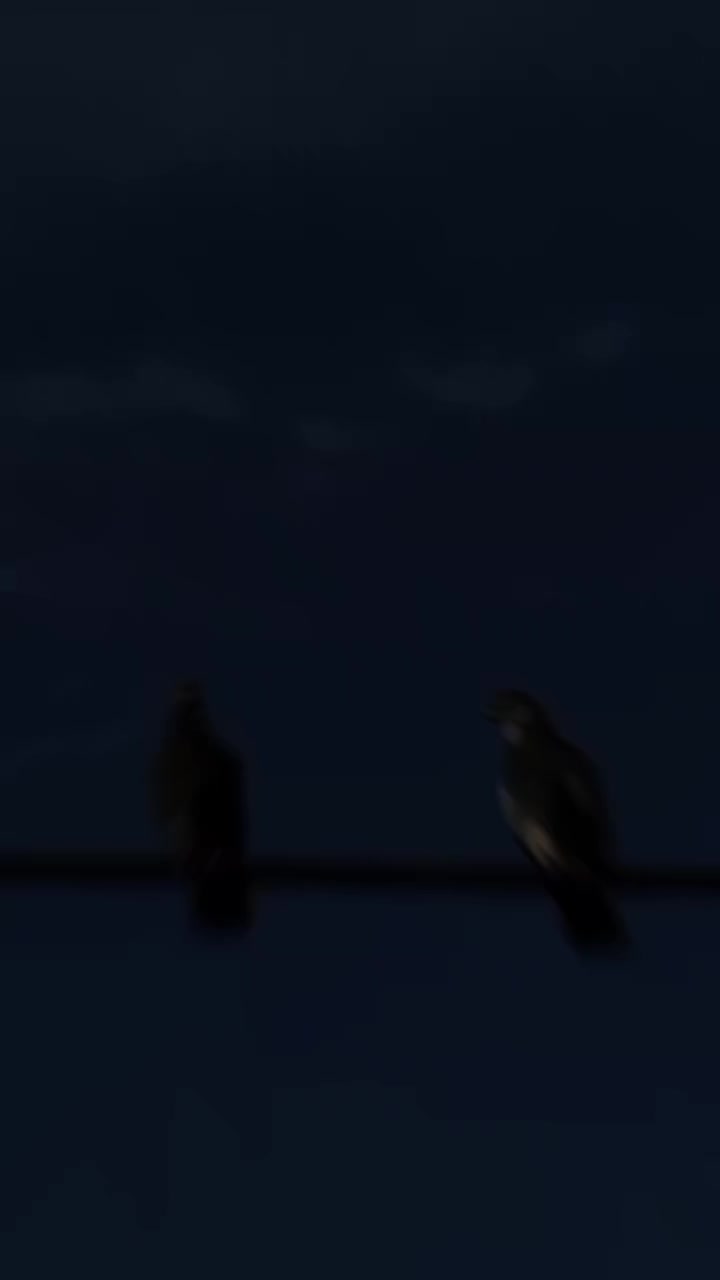 @𝘼𝙃𝙈𝙀𝘿 🫀