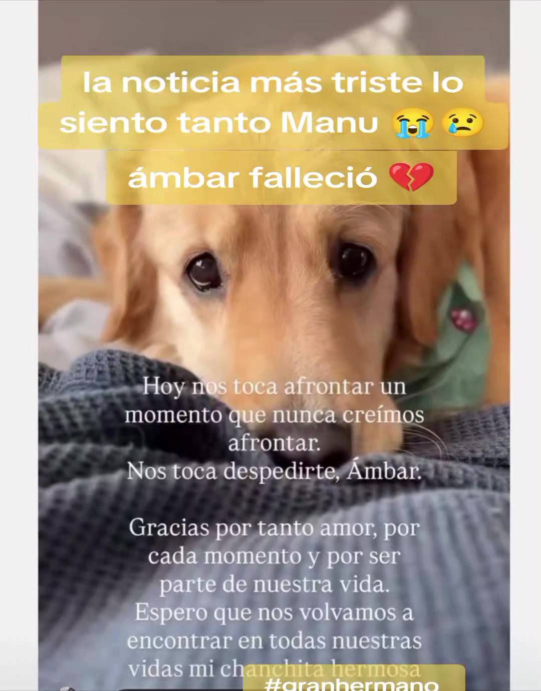 @mamushka 🇦🇷