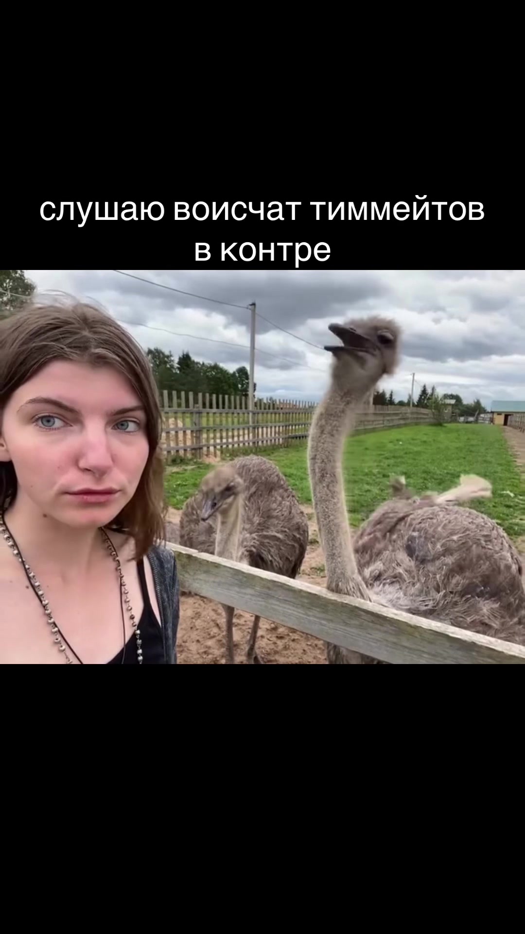 @1vsworldddd