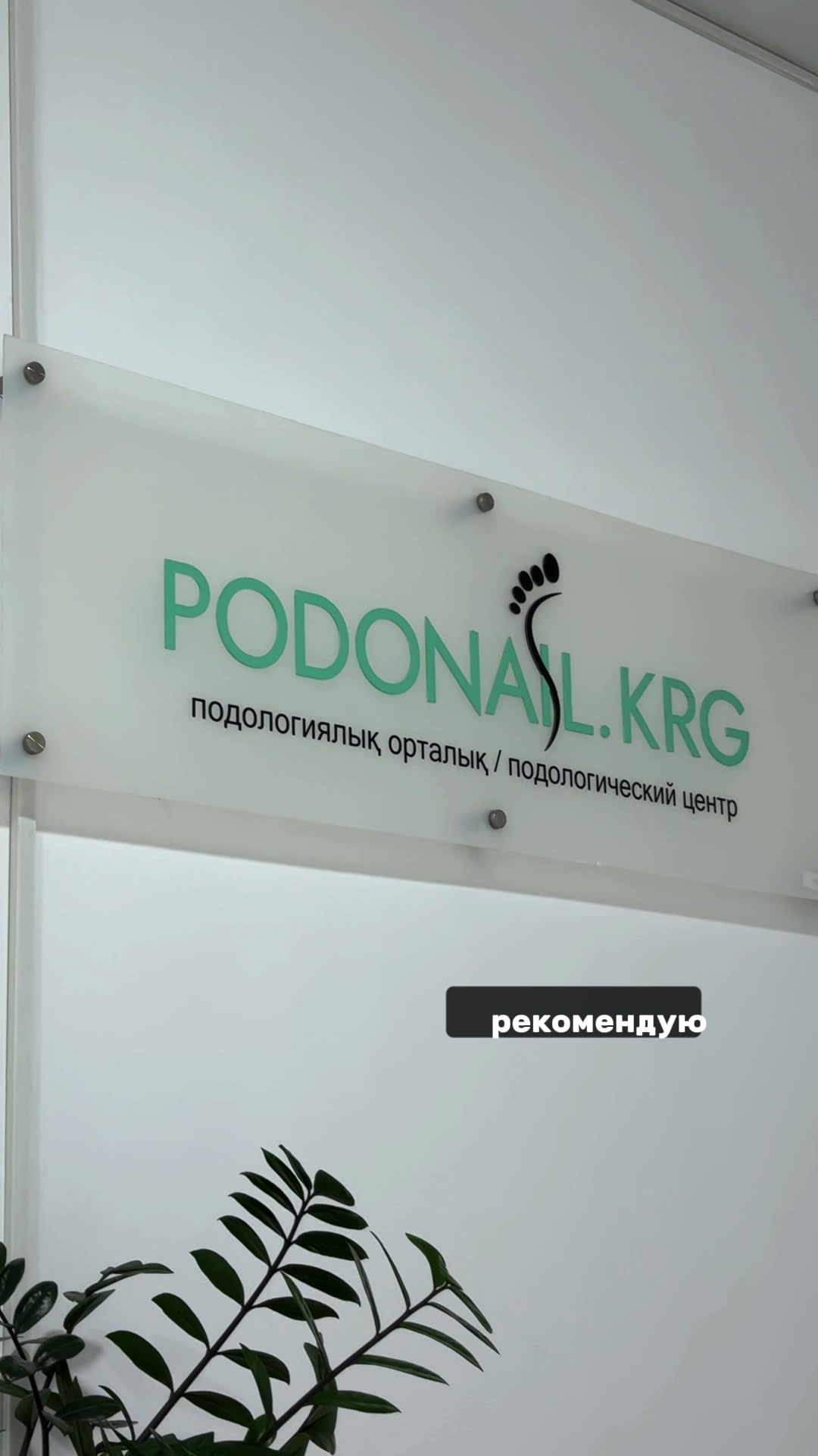 @podobloger