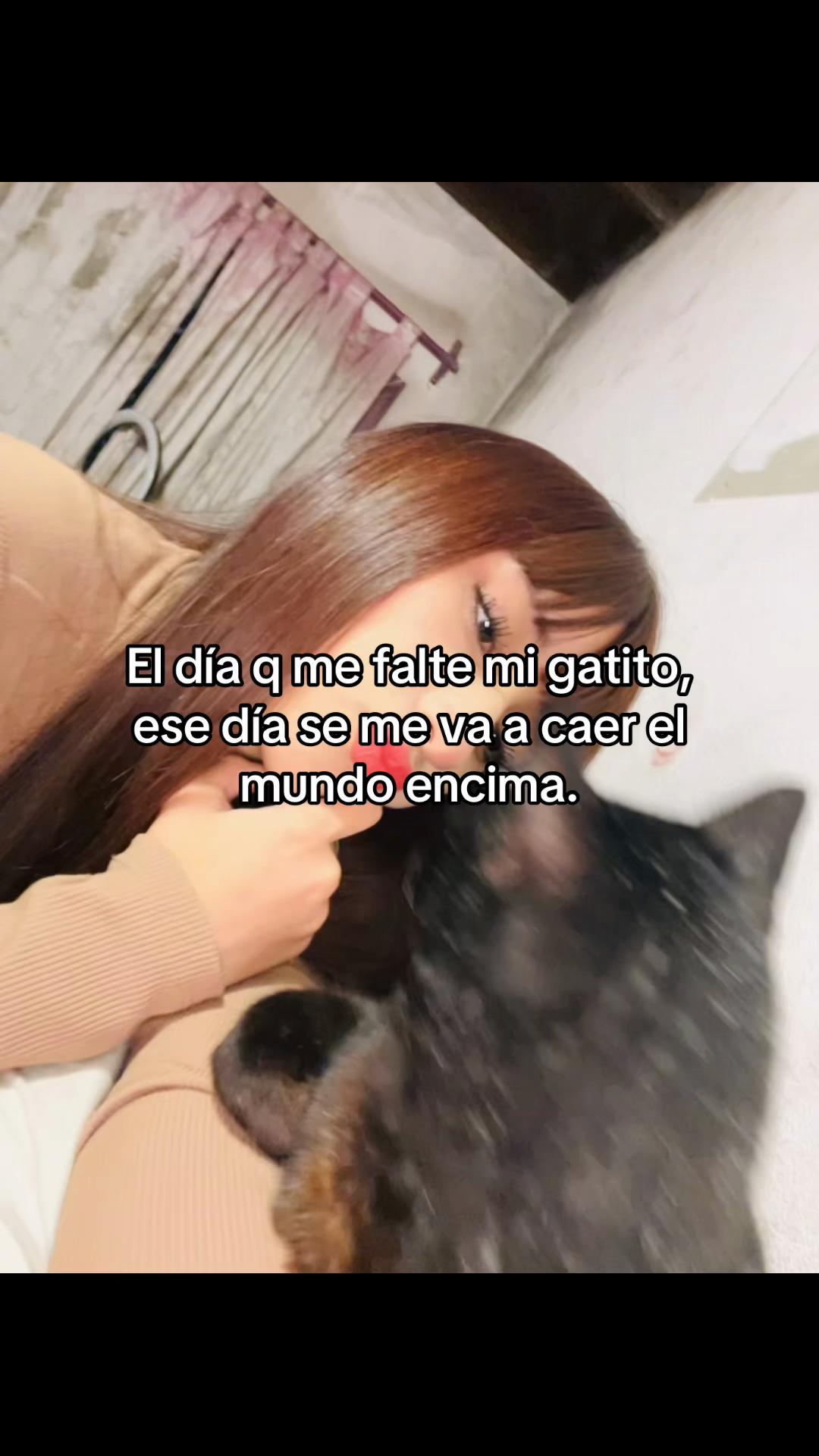 @ꪜ𝓲ᥴ𝓽ꪮ𝘳𝓲ꪖ✨🎀