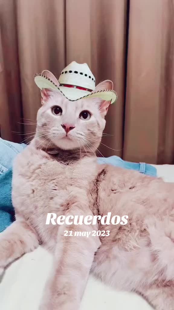 @Wilson Yeyé