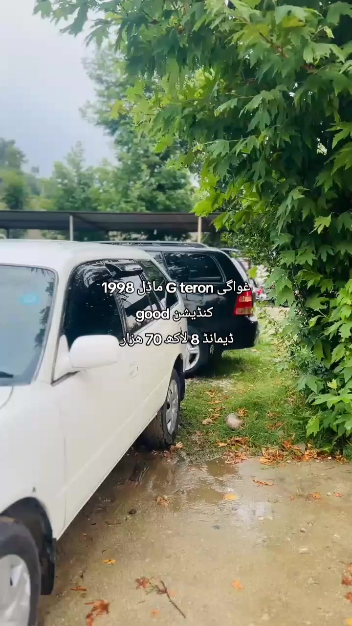 @ncpcarlover1
