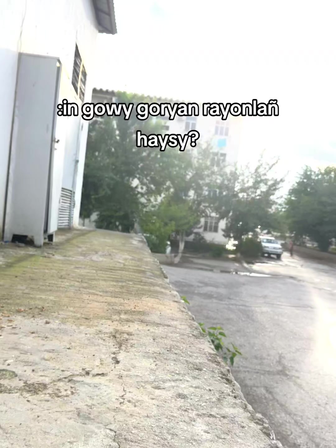 @akmdw🪄
