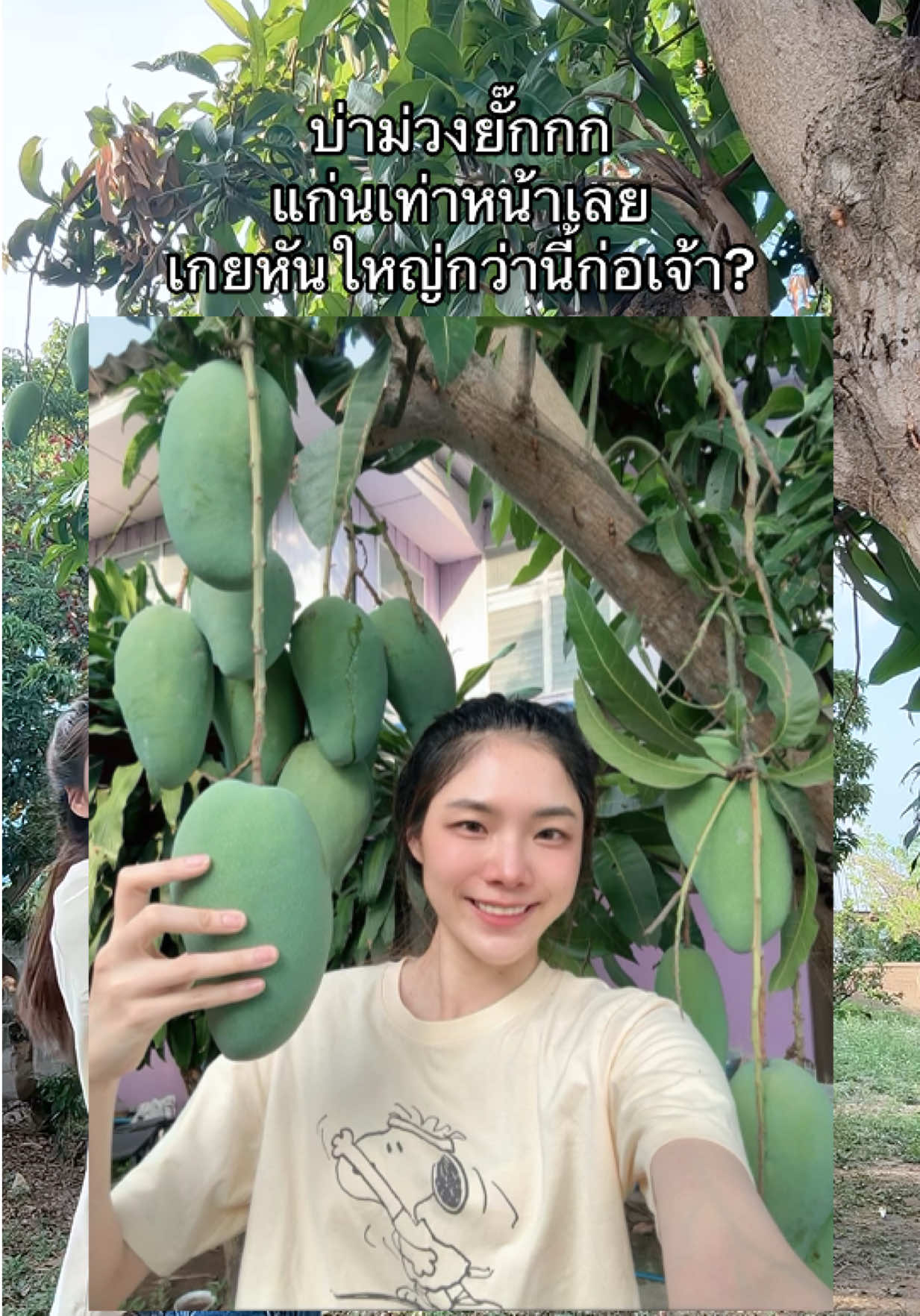 @มิ้นล้นตู้