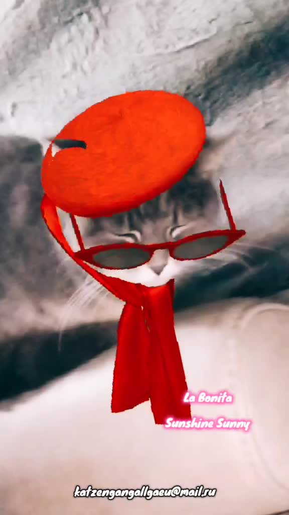 @katzengangallgaeu