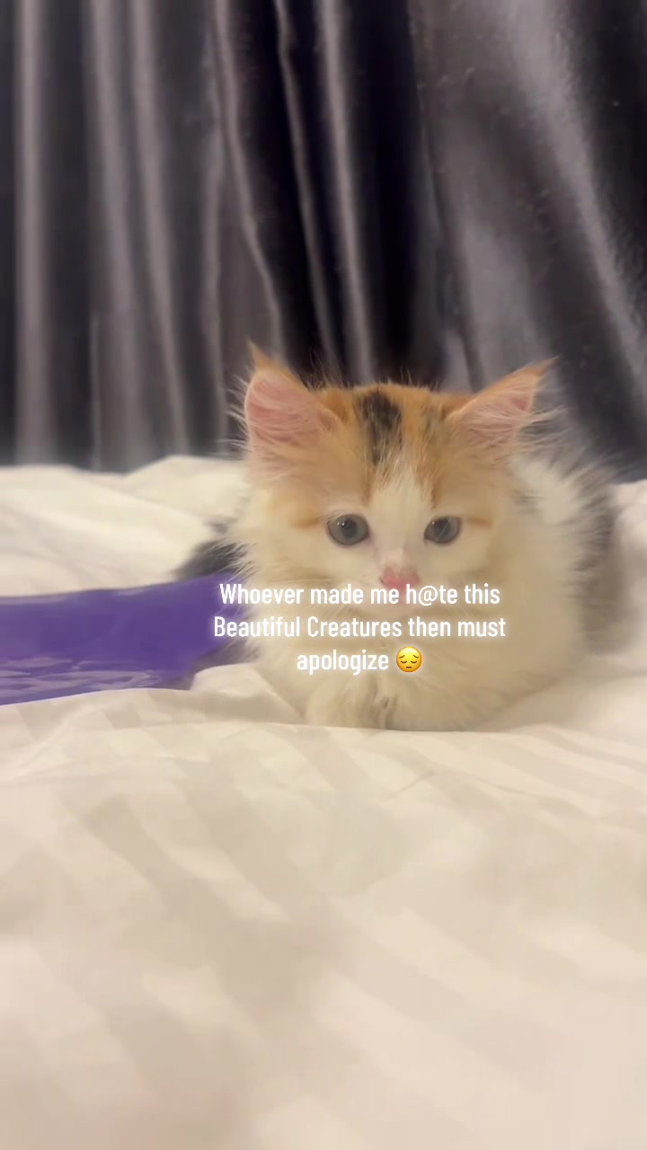 @🐱Deraspets🐶