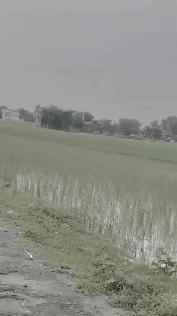 @𝗦𝗛𝗘𝗥 𝗕𝗨𝗧𝗧𝗔𝗥 🦁