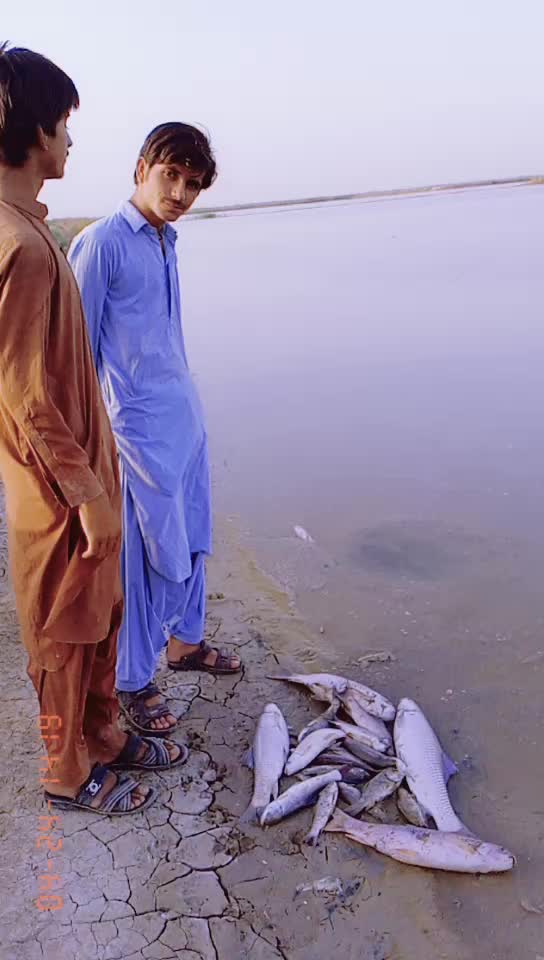 @Asif khan jakhrani