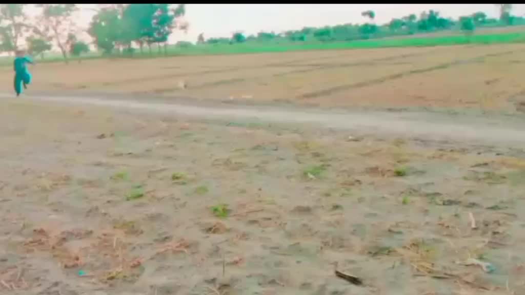 @Mohsin_Sikhani5