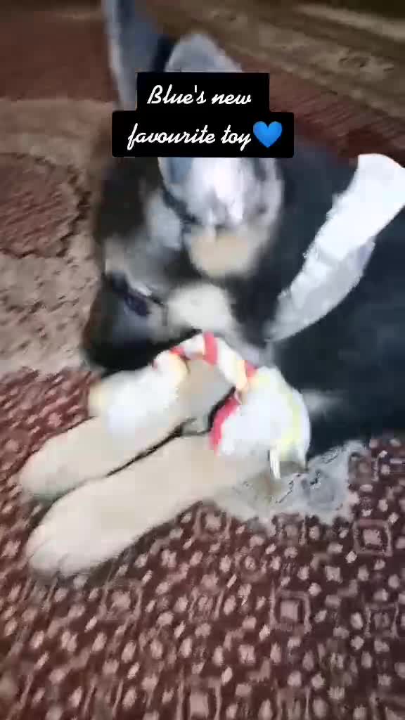 @𝓛𝓮𝓪𝓷𝓭𝓻𝓪