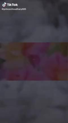 @choudharyPrince