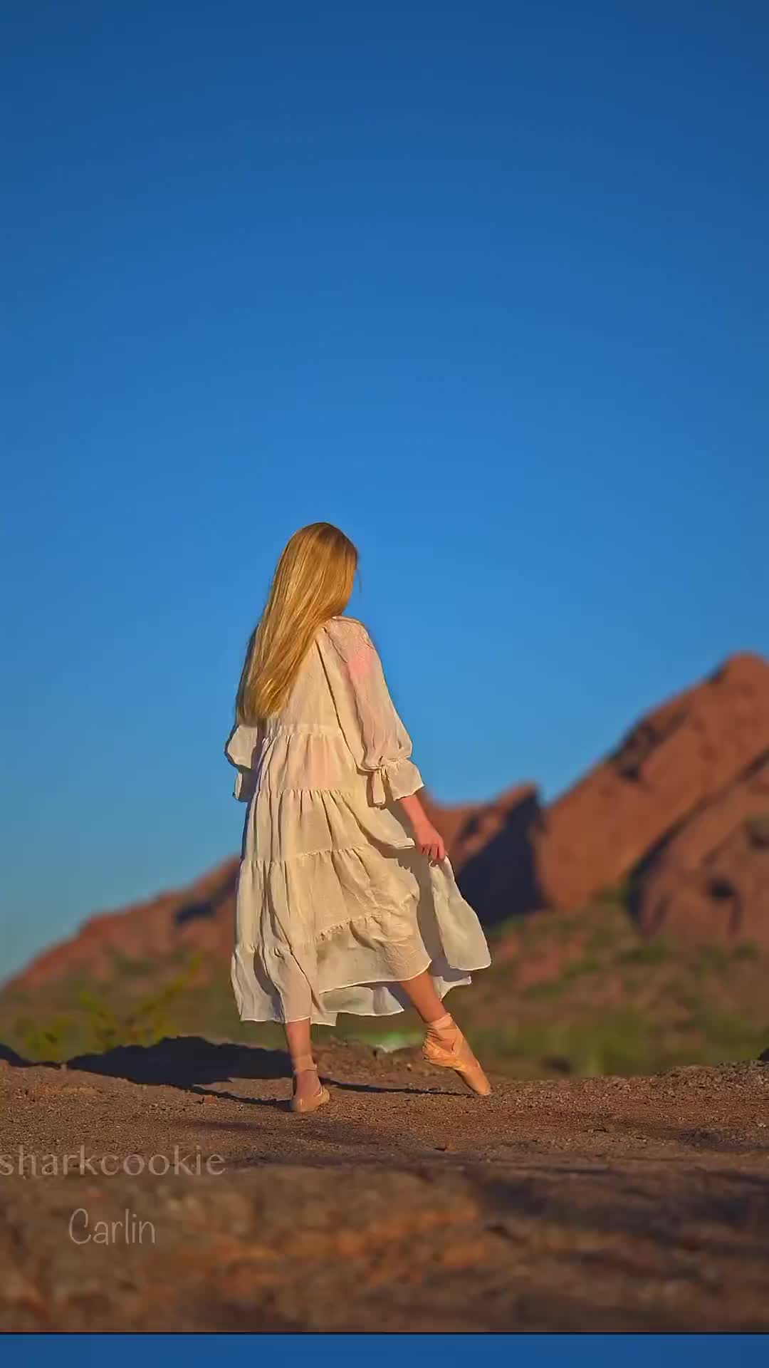 @Sharkcookie
