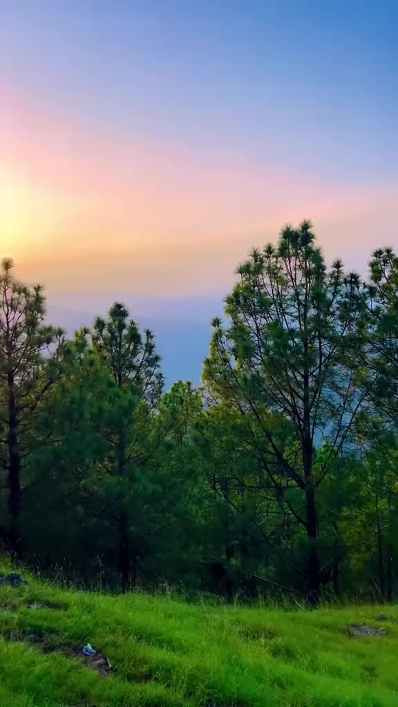 @user74900063875