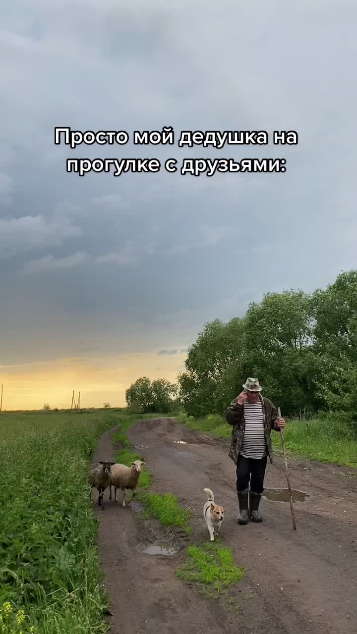 @user8289051089568