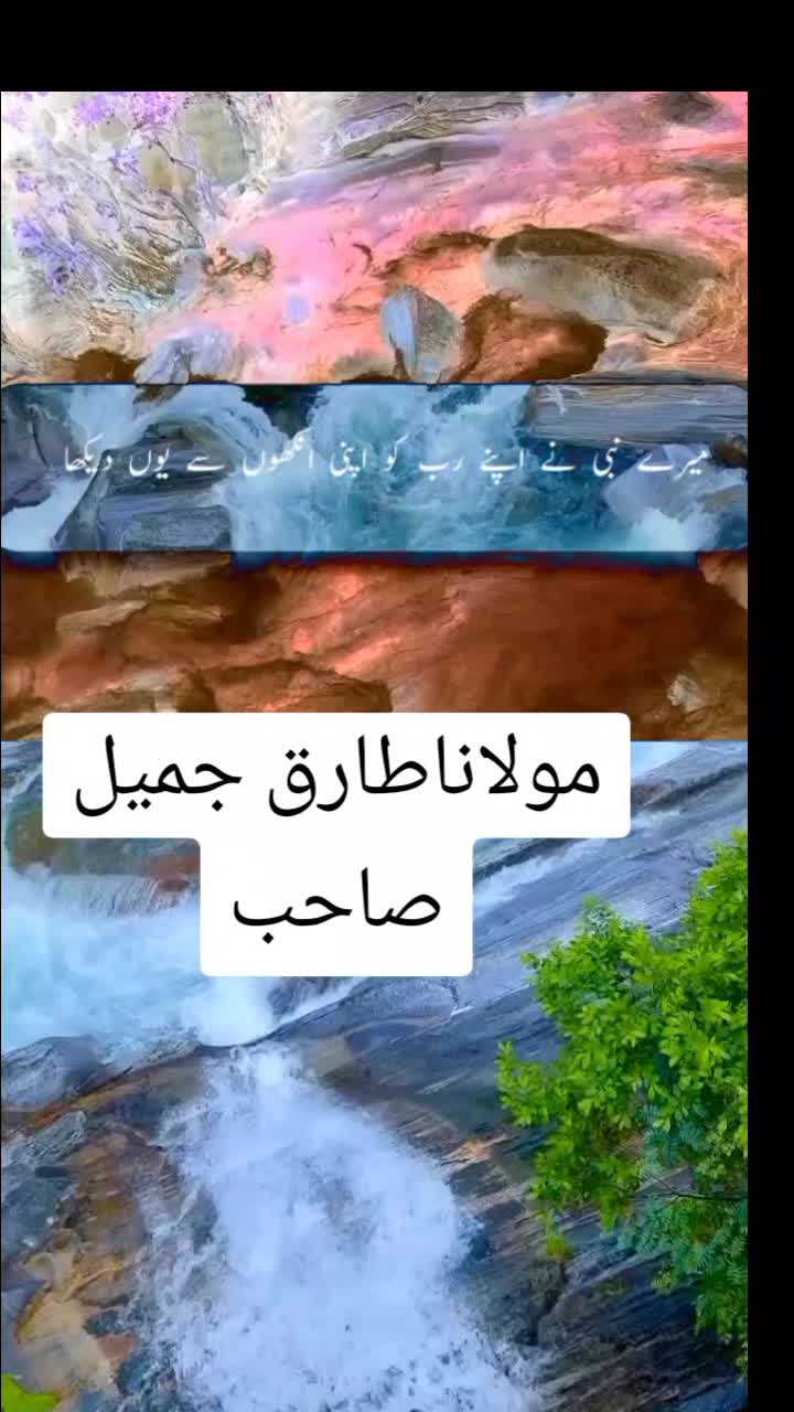 @zulfiqar Ali