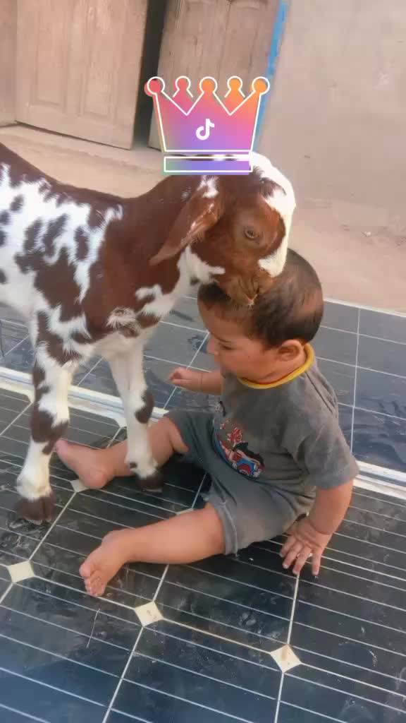 @javaid