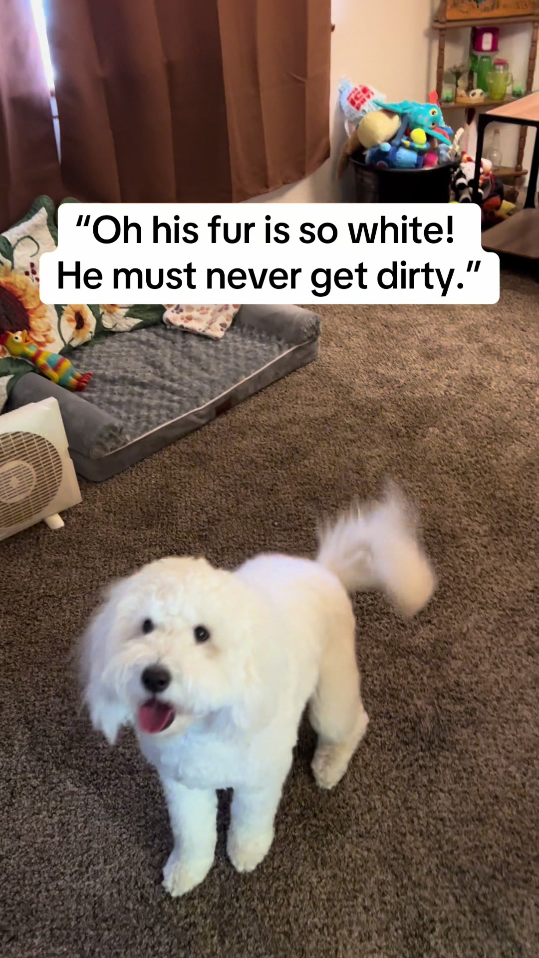 @Enzo the Dood