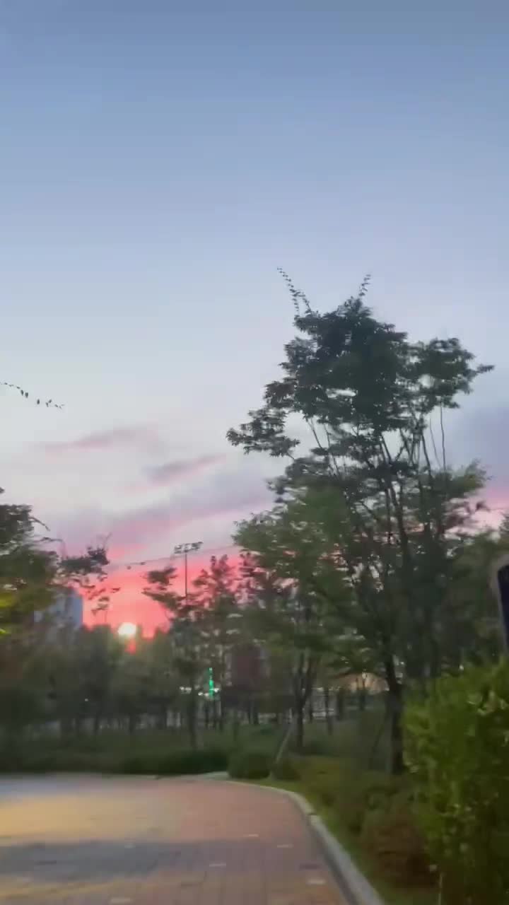 @메추리알