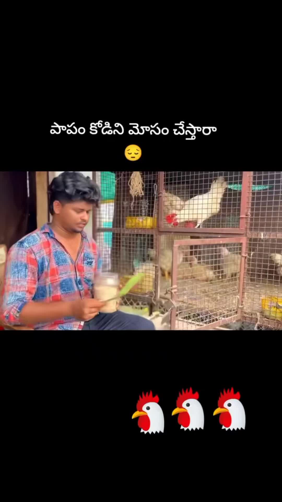@sudharani
