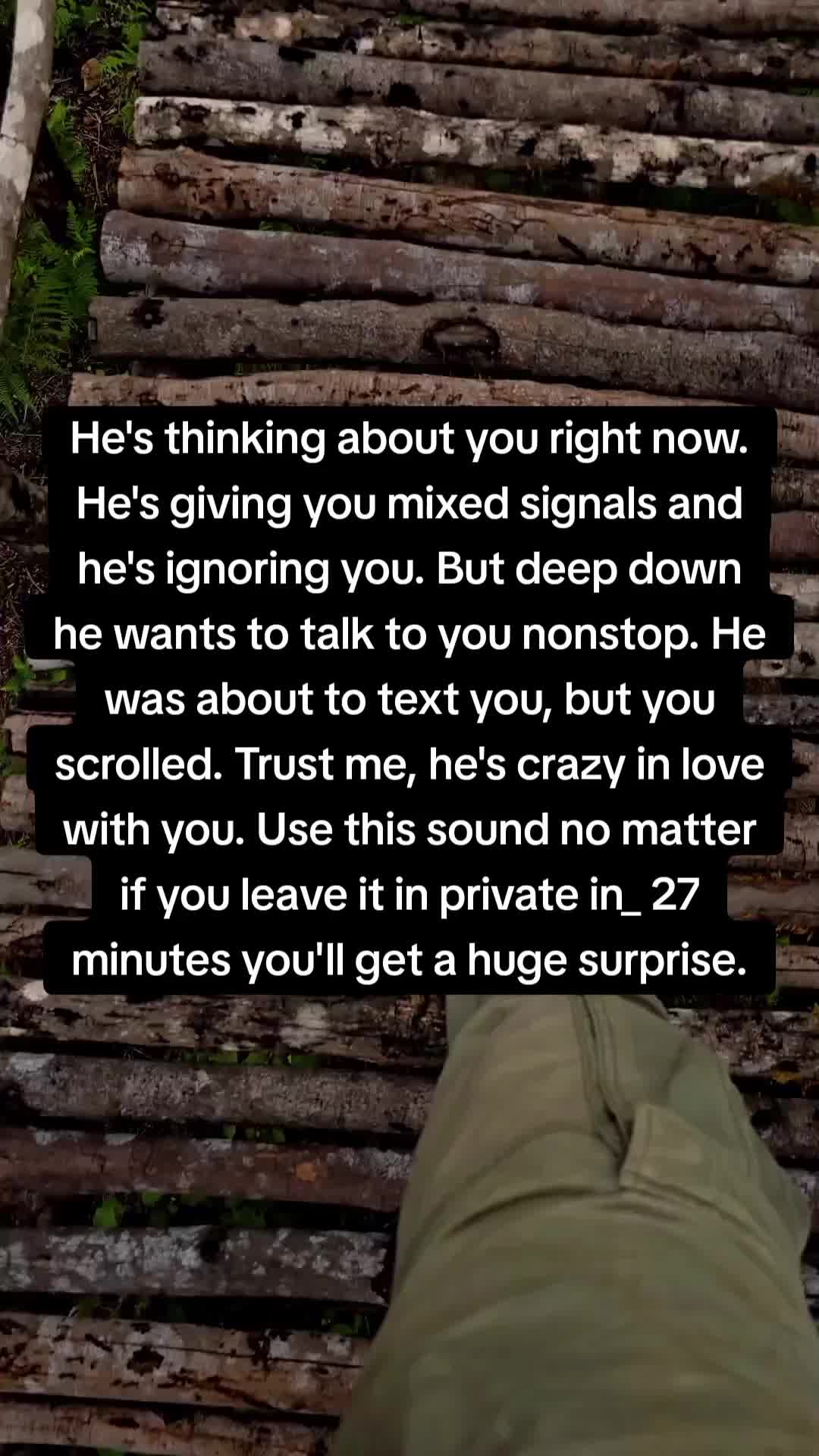@wisdom whispers