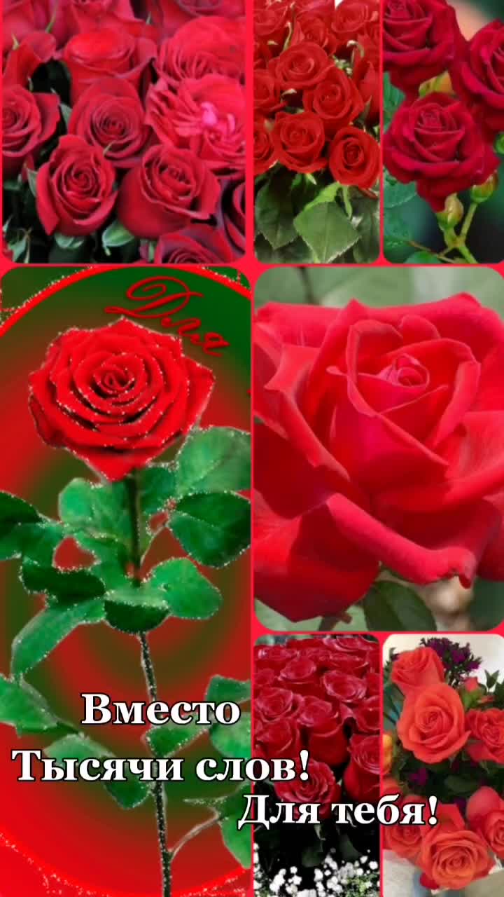 @user04012852532