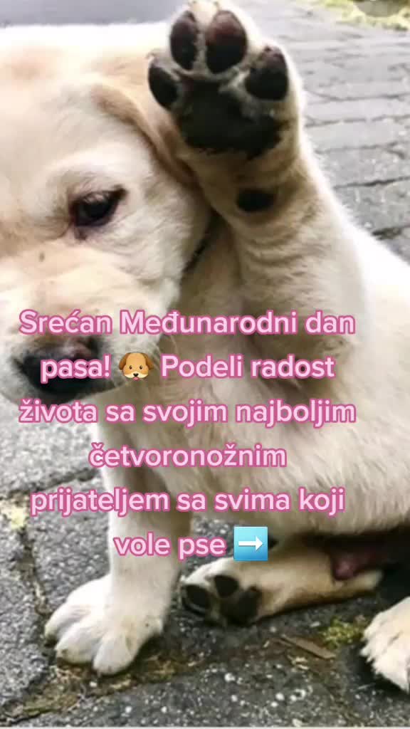 @love animals🥺❤