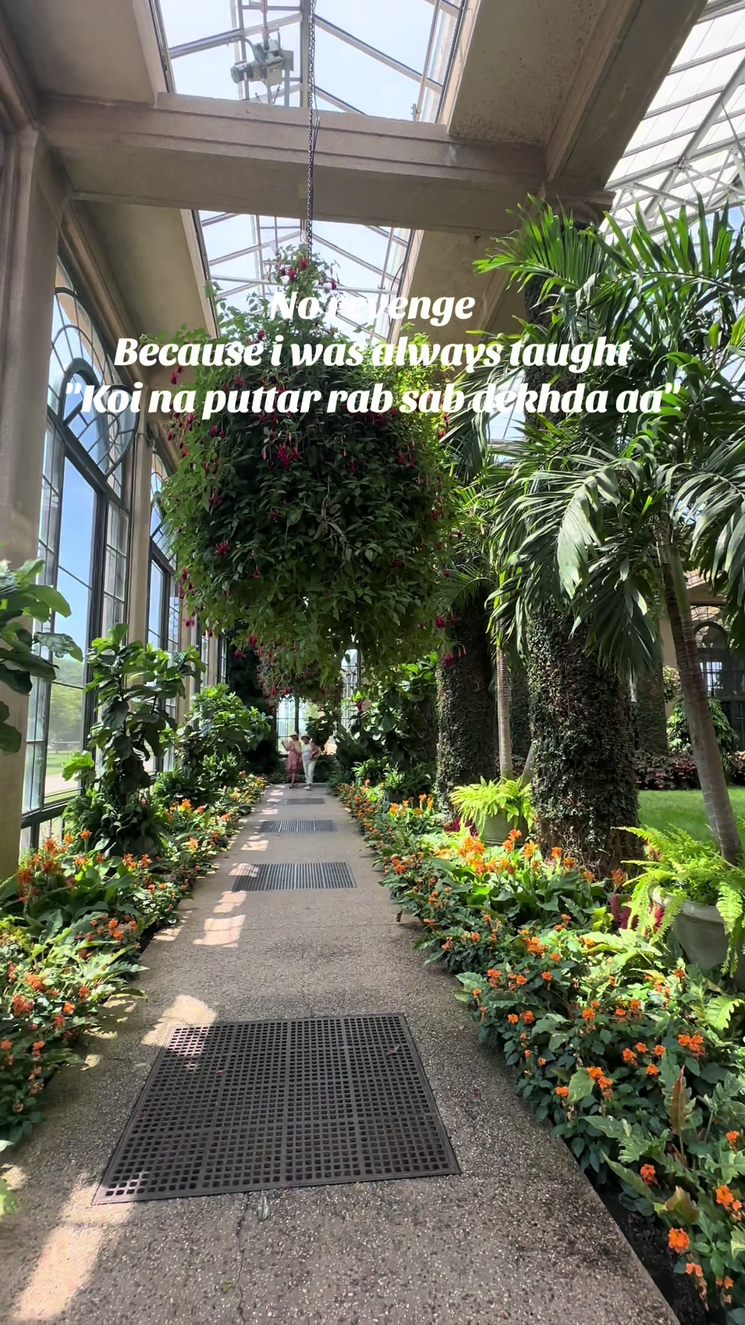 @Mehru🌸