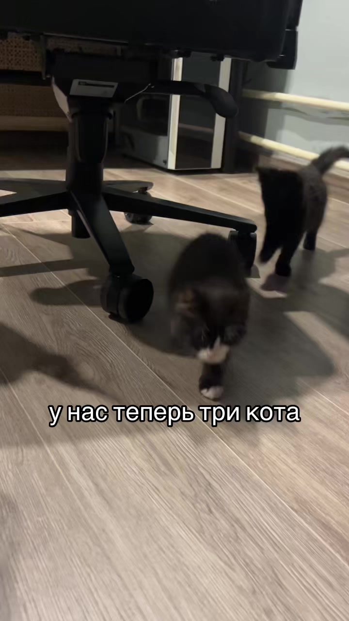@Хаку 777
